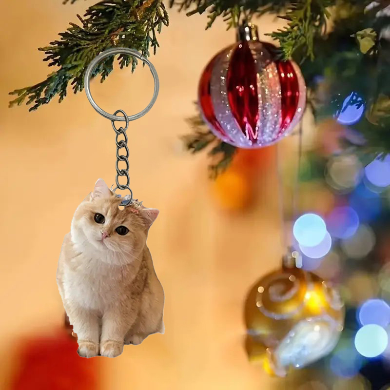 Schwarz-weißer Katzen-Schlüsse – Resin Art Keychain Design Bewertung und Preis